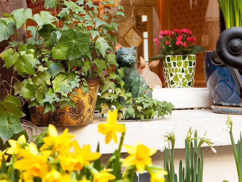 Hotel D'Albion Париж Екстериор снимка